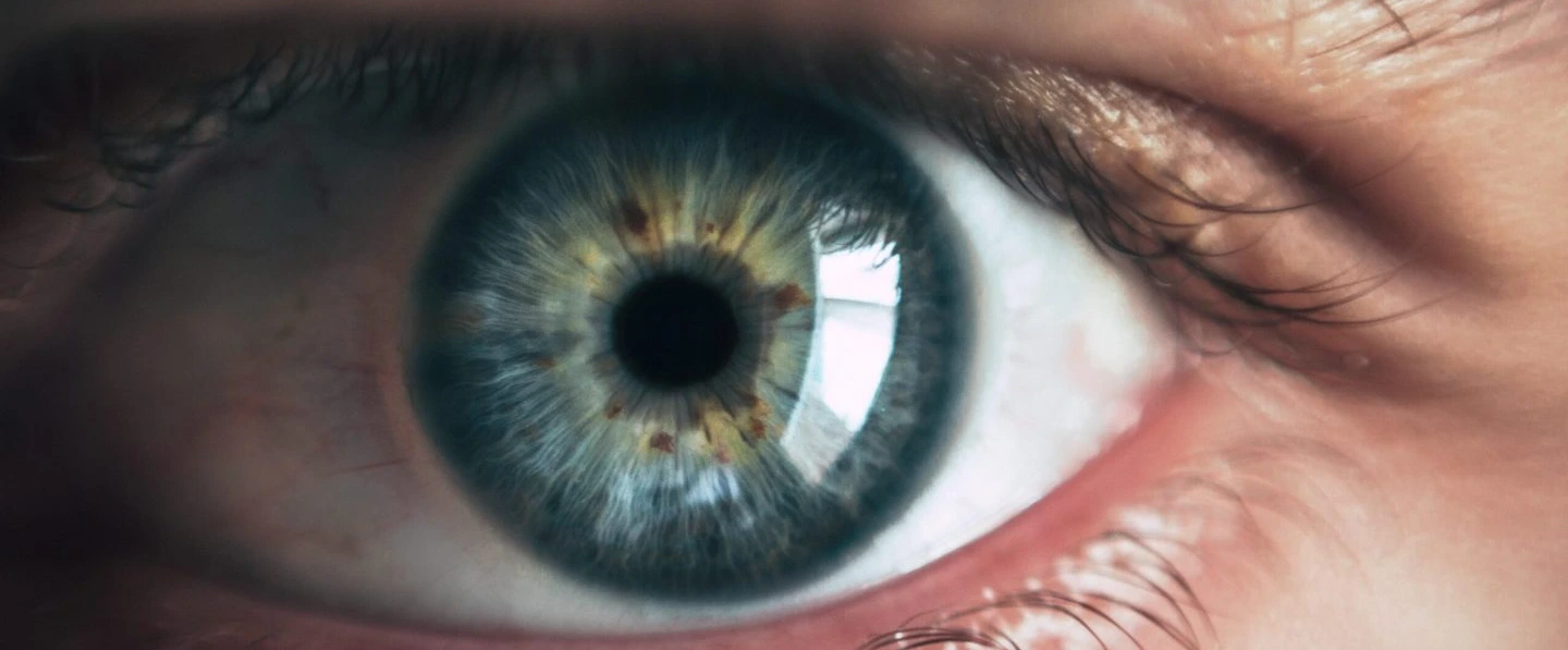 Can Microcannulas Prevent Blindness?