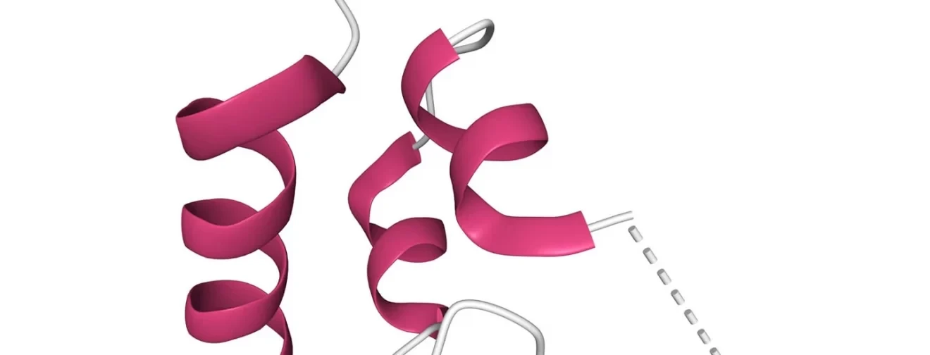What is an Insulin-like Growth Factor?