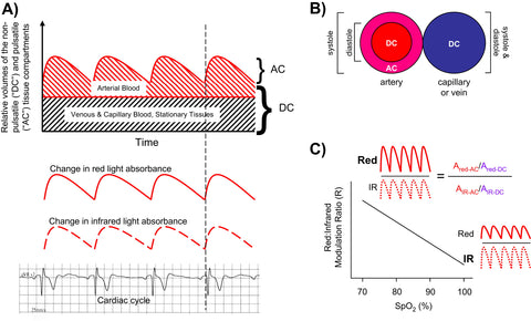 Pulse Oximetry
