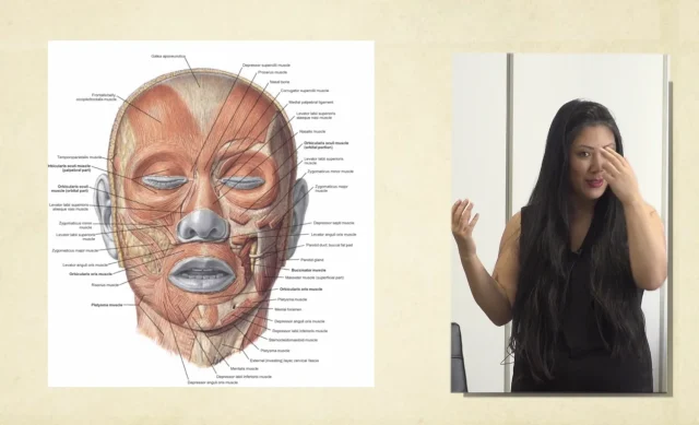 Facial Neuromodulator Injections Course