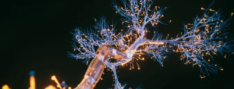 Neuron Cell close up view