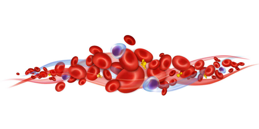 Leucocytes, erythrocytes and platelets