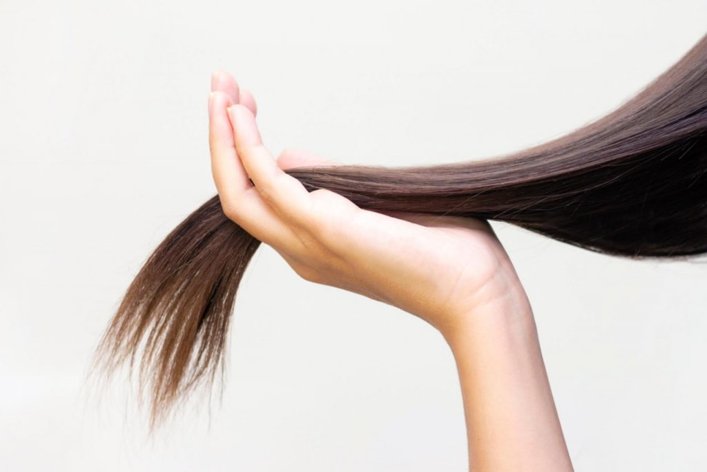 long brown hair on palm