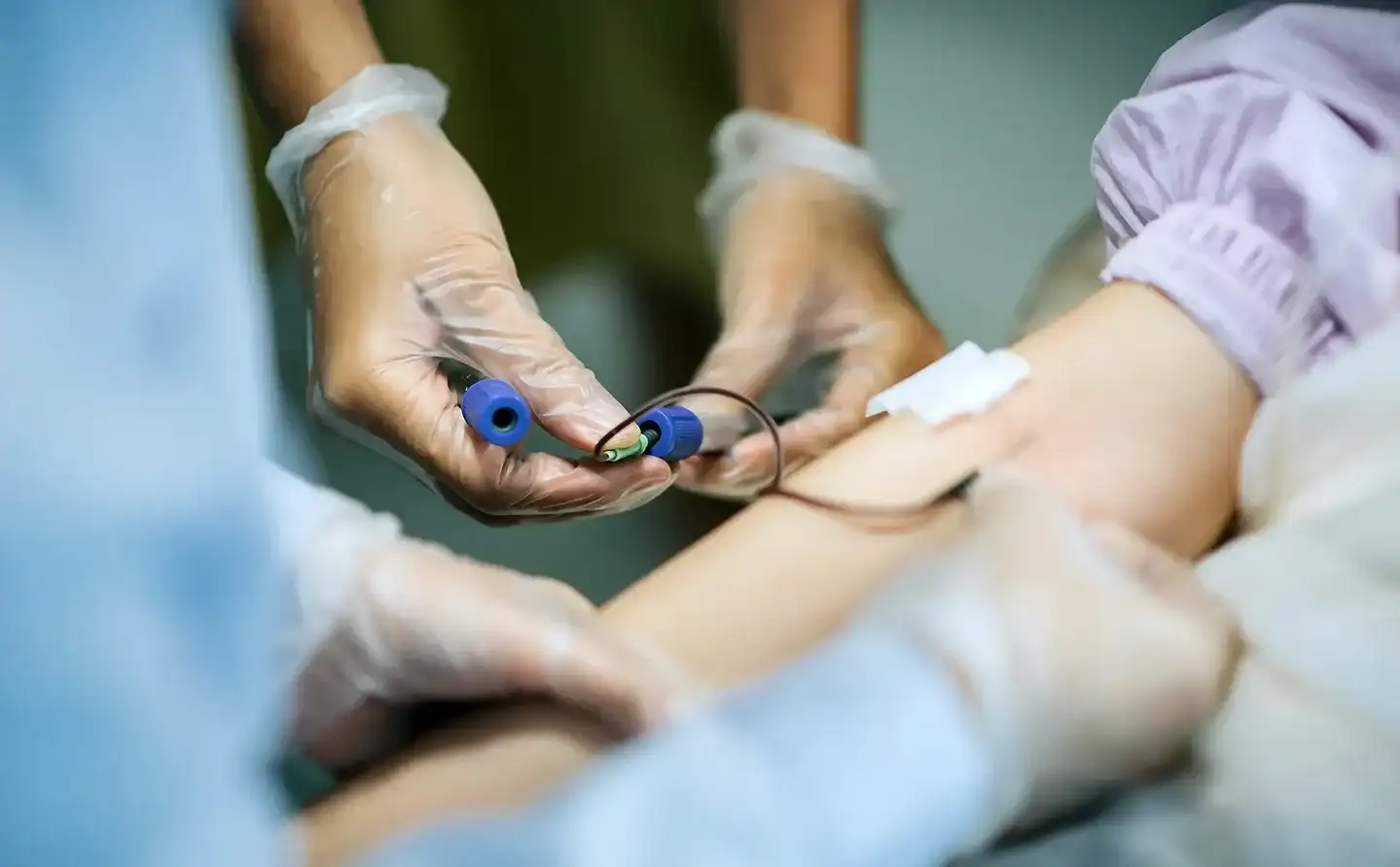 medical providers administer blood collection on a patient using butterfly needle