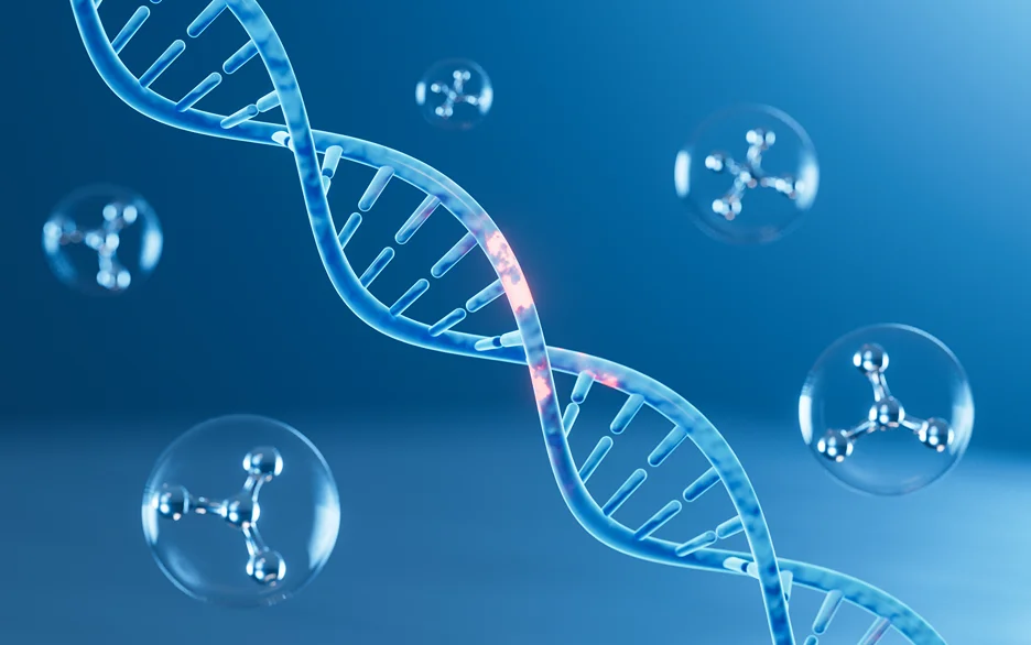 dna structure on human body