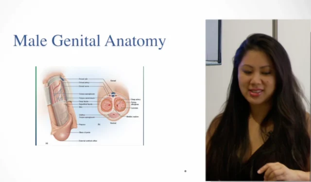 PRP for Sexual Health Including Live Vaginal and Penile Injection Training - Image 2