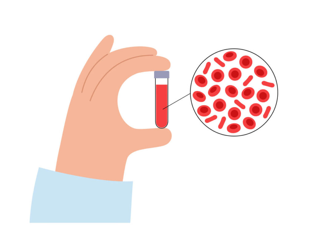 Human blood structure and sample collection in laboratory