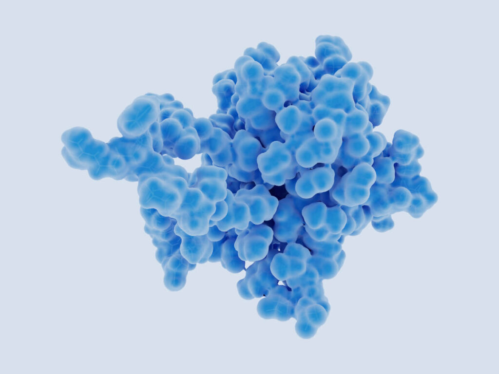 The fibroblast growth factor