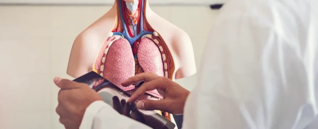 botox anatomy training