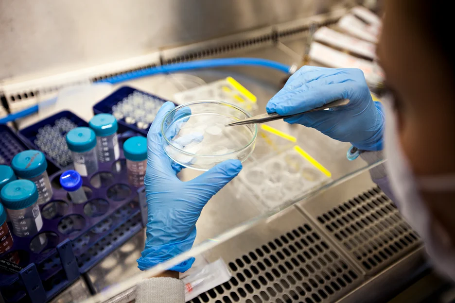 exosome depleted fbs