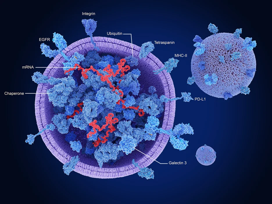exosomes composition